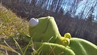 Kermit The Frog sings quotTeenage Dreamquot Katy Perry [upl. by Anilyx]