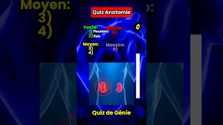 Quiz Anatomie Devine ces six organes shorts quiz trivia [upl. by Matuag]