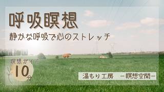 【瞑想 10分】呼吸瞑想で乱れた心のストレッチ 乱れた心をリラックスさせる マインドフルネス 瞑想ガイド 誘導瞑想 [upl. by Buiron]