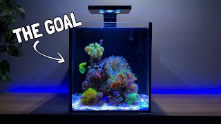 Adding the First Corals to my Nano Reef Tank [upl. by Ahsilra]