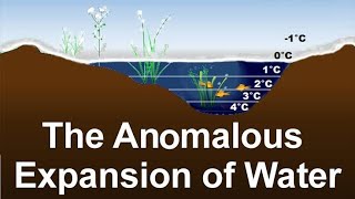 ANOMALOUS EXPANSION OF WATER [upl. by Nwahsear]