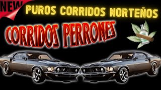 PUROS CORRIDOS VIEJITOS NORTEÑOS  20 EXITOS  MIX PARA PISTEAR [upl. by Ulises]