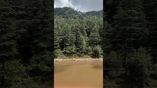 dallake dharamshala cleaning nature trending viralvideo salmankhan tiger youtubeshorts ❤️ [upl. by Connel]