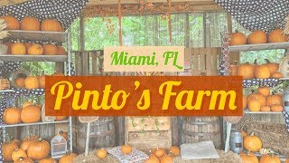 Pintos Farm  Miami FL [upl. by Shetrit]