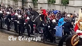 Kings coronation Horse loses control and crashes into crowds [upl. by Anilegna]