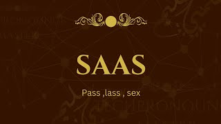 How to Pronounce SaaS  Understanding Software as a Service [upl. by Aihsik]