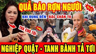 Quả Báo Đến Sớm Bà Nguyễn Phương Hằng Gặp quotNGHIỆP QUẬTquot Ngay Sau Khi Đụng Đến Thầy Minh Tuệ TT365 [upl. by Halas]