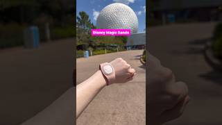 How Disney MagicBands Work 🏰✨ disneyworld disneytips [upl. by Yornoc]