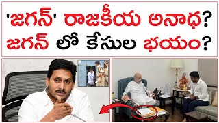 జగన్ రాజకీయ అనాధ  జగన్ లో కేసుల భయం  YS Jagan Cases On Fire  Lokesh Amit Shah Meeting [upl. by Einnok853]