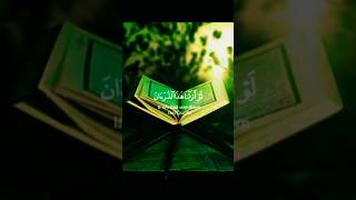 أواخر سورة الحشر 🌿  ياسرالدوسري  سورةالحشر قرآن quran shorts subscribe islam youtube 🌿 [upl. by Gerick]