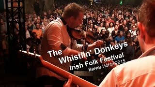 The Whistlin Donkeys  Irish Folk Festival Balver Höhle 2015 [upl. by Giark]