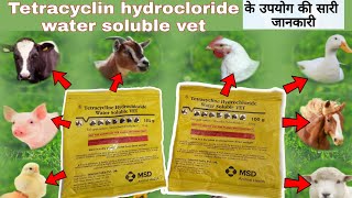 tetracycline hydrochloride water soluble vet uses in hindi veterinarymedicinereviewhindi [upl. by Goeger]