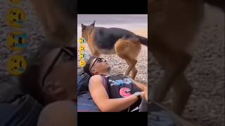 Amazing funny video🤣🤣trending youtubeshortsviralvideo funnyfunnyvideo facebook funny funny [upl. by Nauqram]