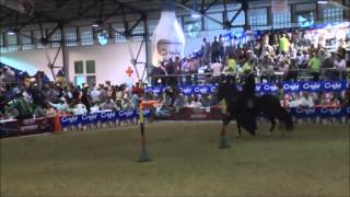 gran campeonato caballos trochadores galoperos 2014 [upl. by Cly]