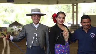 RANCHO EL MARENGO FERIA DEL CABALLO ESPAÑOL 2019 CITY OF INDUSTRY CALIFORNIA [upl. by Einalem]