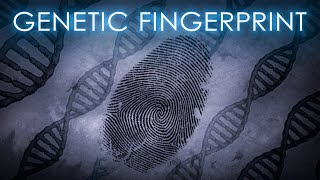 Genetic Fingerprints DNA traces  The Science of Crime  Full Documentary [upl. by Meurer]