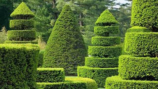 Topiary Garden [upl. by Hairas]