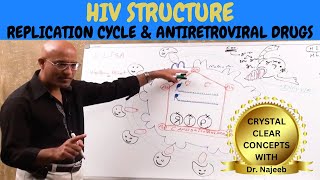 HIV AIDS  Sign Symptoms Transmission amp Treatment  Dr Najeeb🩺 [upl. by Walton]