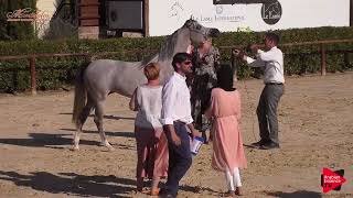 Montefalco 2019  Int Junior Fillies Championship Class 28 [upl. by Tolmach]