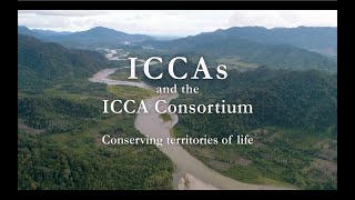 ICCAs and the ICCA Consortium Trailer [upl. by Kcirdnekel323]