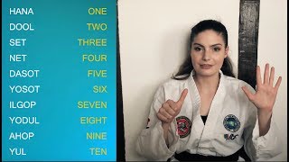 How to Count in Korean during a Taekwondo class🥋🇰🇷 [upl. by Naot]