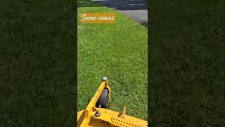 Waves 👋 walkermowers lawncare clean house [upl. by Naicul]