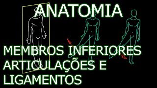 Aula Anatomia  Membros Inferiores  Articulações e Ligamentos  Anatomia Humana Osteomuscular [upl. by Adnahsam994]