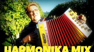 HARMONIKA MIX and REMIX Shomi DJ [upl. by Eihs]