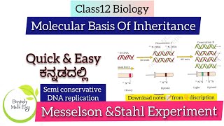 Class12 Messelson amp Stahl Experiment ಕನ್ನಡದಲ್ಲಿ Molecular basis of Inheritancebiostudymadeeasy [upl. by Nylauqcaj]