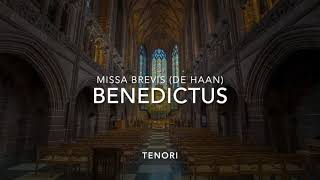 BENEDICTUS  TENORI  Missa Brevis De Haan Base musicale [upl. by Llertnahs406]