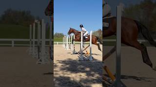 Thoroughbred Makeover with Karyn Wittek [upl. by Sherborne]