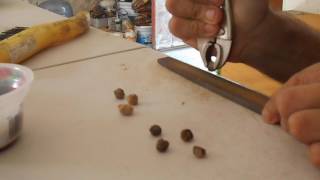 Seed Cleaning  scarification of Nance seed [upl. by Bledsoe]