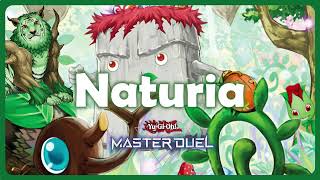 Tier 0 Best Naturia Deck  Master Duel  Rank match  2nd Stage [upl. by Burnley]