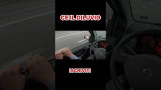 FIAT PANDA ROTTA  COSA DEVO FARE [upl. by Steele]