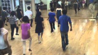 Long Time Gone  Line Dance Demo amp Walk Through [upl. by Nerok]