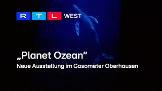 Neue Ausstellung im Gasometer Oberhausen entführt ins Meer  RTL WEST 14032024 [upl. by Martita141]