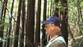 Craig Blencowe on Jackson Forest Harvest Plan [upl. by Jud460]