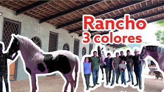 El RANCHO MÁS BONITO Y CON CABALLOS DE TODO RAZA DE CULIACÁN 🐴🔥 [upl. by Hanae]