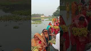 Chhath puja Sarda Singhtrendingshorts chhathgeet chhathpuja [upl. by Mehcanem]