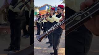 Marathi movie song  brass band  Vasaikar band brassband shorts vasai [upl. by Jacynth]