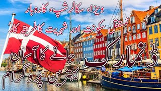 Denmark Visa Process Permanent Residence Scholarship and Citizenship [upl. by Adiaros896]