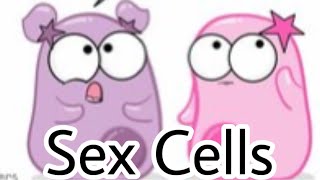 I edited The Amoeba Sisters [upl. by Vernita400]