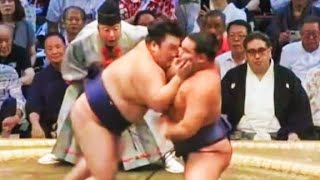 Nagoya Basho 2024 Day 4 Gonoyama vs Hoshoryu [upl. by Ardekal243]