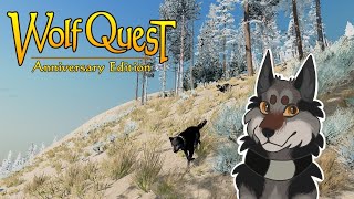 Causing Drama in Hellroaring Mountain  WolfQuest Next Gen 2 [upl. by Ylicec]