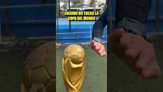 Cuando no tocas la copa del mundo 😎🏆🌟 [upl. by Braden]