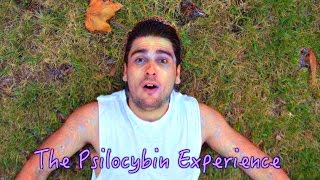 What SHROOMS Feel Like  The Psilocybin Mushroom Experience Low Vs High dose [upl. by Luaped]