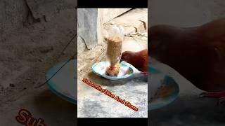 খুব সহজেই পাখির খাবার পাত্র তৈরী করুন। How to make bird food feeder [upl. by Yruoc12]