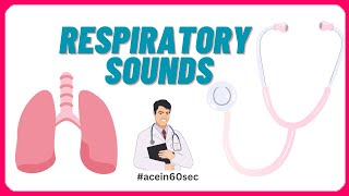 Respiratory Sounds  Abnormal Breath sounds acein60sec clinical [upl. by Lohman]