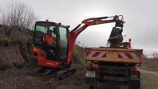 Boden verladen mit KUBOTA KX019 und Transport mit MULTICAR FUMO M30 mit Anhänger [upl. by Aleel271]