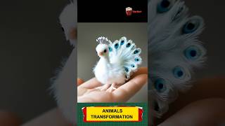 Animal before and after growing up trending animals funnyanimals animaltransformation [upl. by Inafit]